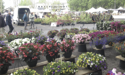 Vienne en fleurs ; Vide-grenier à l’Espace Saint-Germain ; 5 concerts à Vienne pour le Jazz Day, etc. : où sortir à Vienne  et alentours lors du « pont » du 1er mai