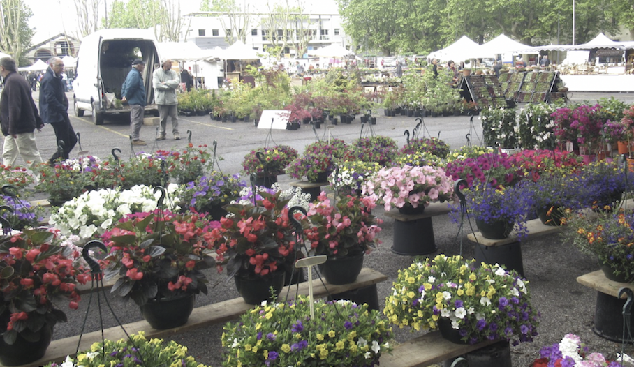 Vienne en fleurs ; Vide-grenier à l’Espace Saint-Germain ; 5 concerts à Vienne pour le Jazz Day, etc. : où sortir à Vienne  et alentours lors du « pont » du 1er mai