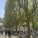 L’inauguration du cours Brillier à Vienne après sa transformation, annoncée pour le 3 octobre sous la forme d’un événement festif