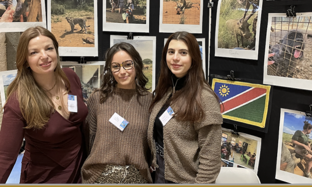 Viennois acteurs du monde : les candidatures sont ouvertes !