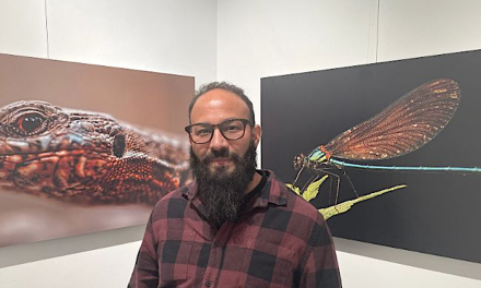 Il expose à « L’autre Galerie » : le photographe animalier viennois Mehdi Maamir, l’homme qui met en scène la riche biodiversité locale