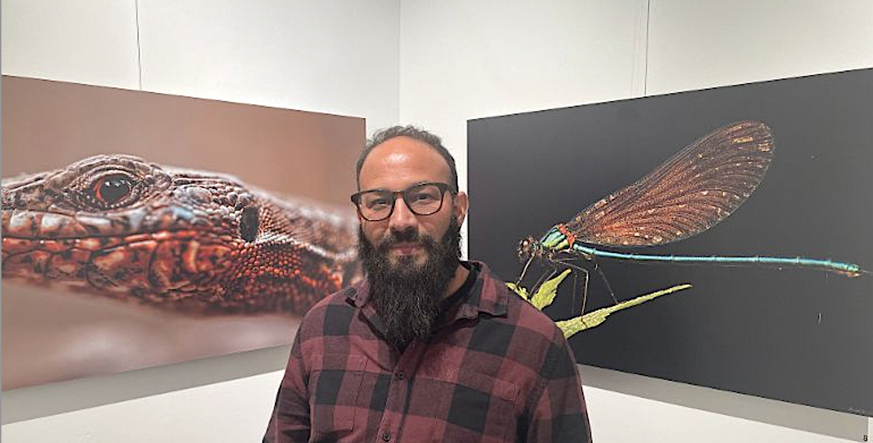 Il expose à « L’autre Galerie » : le photographe animalier viennois Mehdi Maamir, l’homme qui met en scène la riche biodiversité locale