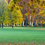 Canicule à Lyon : le Parc de la Tête d’or ouvert jusqu’à 23 h 30, musées gratuits, Fête de la Musique maintenue, mais adaptée, etc