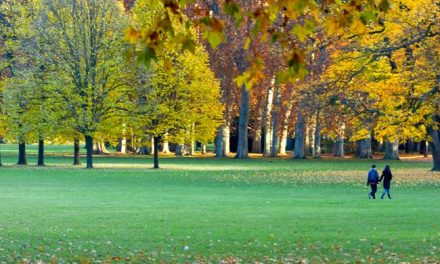 Canicule à Lyon : le Parc de la Tête d’or ouvert jusqu’à 23 h 30, musées gratuits, Fête de la Musique maintenue, mais adaptée, etc