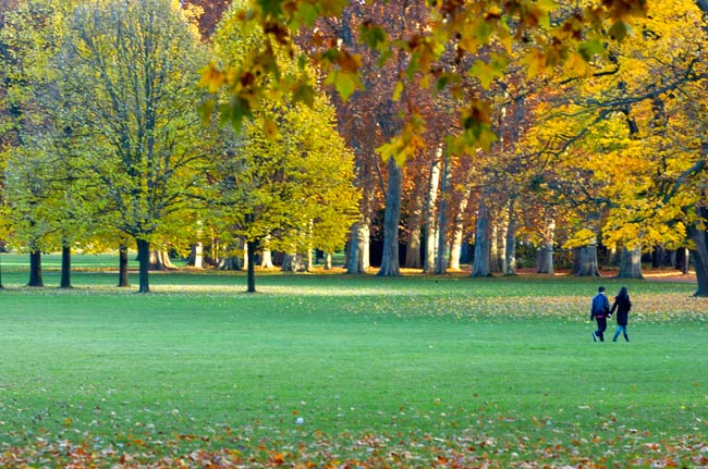 Canicule à Lyon : le Parc de la Tête d’or ouvert jusqu’à 23 h 30, musées gratuits, Fête de la Musique maintenue, mais adaptée, etc