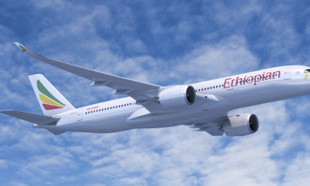 Sept nouvelles destinations cet été au départ de Lyon-Saint Exupéry dont Addis-Abeba et l’Islande