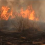 La préfète de l’Isère relève le niveau de risques d’incendies dans le Nord-Isère et la Vallée du Rhône, de « sévère » à « très sévère »