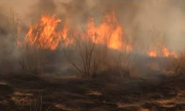 La préfète de l’Isère relève le niveau de risques d’incendies dans le Nord-Isère et la Vallée du Rhône, de « sévère » à « très sévère »
