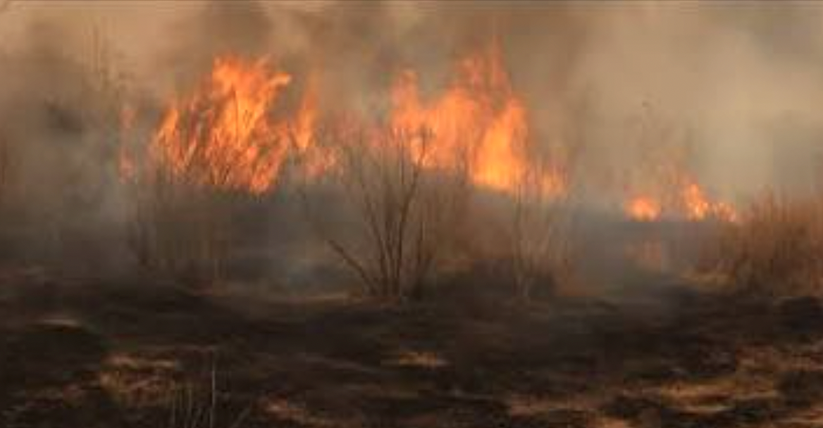 Sécheresse, vent, fortes chaleurs, un cocktail explosif : la préfète de l’Isère alerte à nouveau sur les risques d’incendies dans le Nord-Isère et la Vallée du Rhône