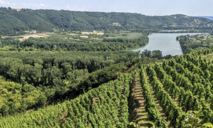 Avec Vienne Condrieu Agglomération comme porte d’entrée, le dossier de candidature des Côtes du Rhône Nord au Patrimoine Mondial de l’Unesco  pourrait être déposé fin 2027