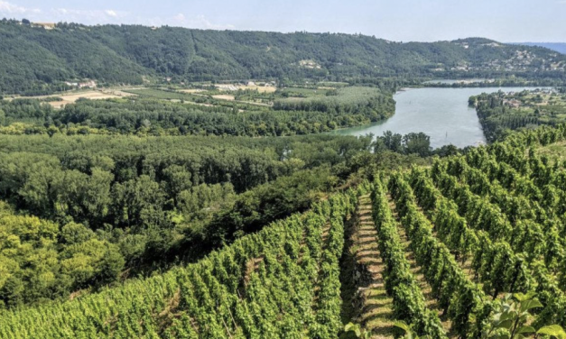 Avec Vienne Condrieu Agglomération comme porte d’entrée, le dossier de candidature des Côtes du Rhône Nord au Patrimoine Mondial de l’Unesco  pourrait être déposé fin 2027