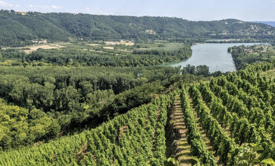 Avec Vienne Condrieu Agglomération comme porte d’entrée, le dossier de candidature des Côtes du Rhône Nord au Patrimoine Mondial de l’Unesco  pourrait être déposé fin 2027
