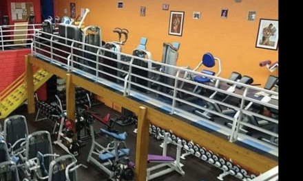 Canicule : la mairie de Vienne prend un arrêté de fermeture pour cette semaine  des quatre gymnases municipaux et du stade de Saint-Ignace.