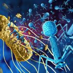 Autorisés à produire des « Phages », les Hospices Civils de Lyon, 1ers en France dans la lutte contre l’antibiorésistance