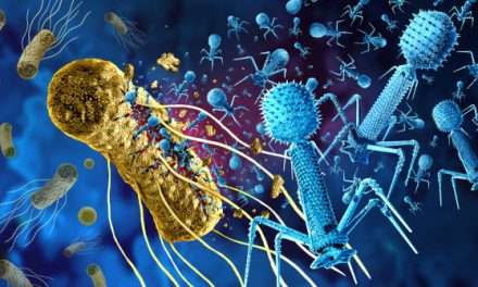 Autorisés à produire des « Phages », les Hospices Civils de Lyon, 1ers en France dans la lutte contre l’antibiorésistance