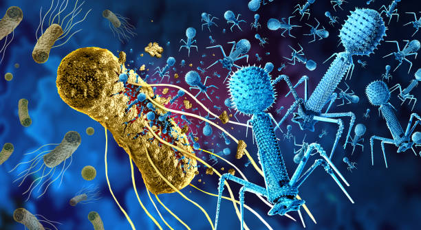 Autorisés à produire des « Phages », les Hospices Civils de Lyon, 1ers en France dans la lutte contre l’antibiorésistance