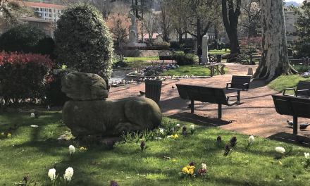 Canicule-la Ville de Vienne active le niveau n°2 de son Plan Canicule, le Jardin de Ville ouvert jusqu’à 23 h 45, toutes les fontaines publiques en service, etc.