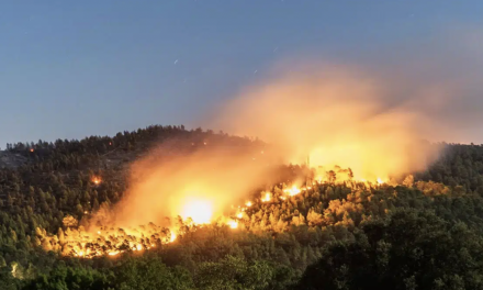 « Un été hors norme » pour le préfet du Rhône : sept fois plus de superficies parcourues par le feu dans le département cette année par rapport à 2025 !