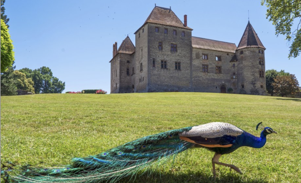 Repris par la famille Deron il y a huit ans, le château de Septème mis en vente pour 3,8 millions d’euros