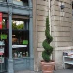 Tribunal de commerce : la libraire Decitre de Lyon-Bellecour va devoir fermer ses portes