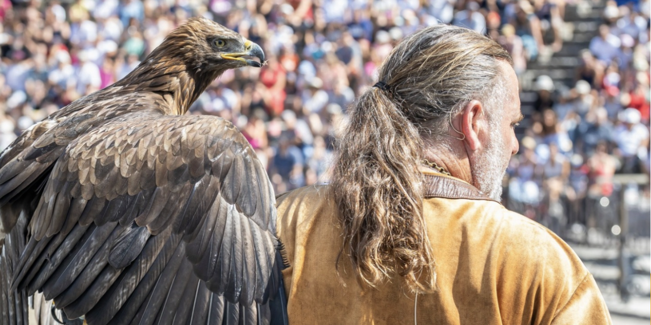 Rapaces à la Fête Historique de Vienne ce week-end : la conseillère municipale d’opposition Myriam Thieulent apporte son soutien à PAZ