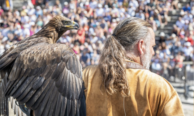 Rapaces à la Fête Historique de Vienne ce week-end : la conseillère municipale d’opposition Myriam Thieulent apporte son soutien à PAZ