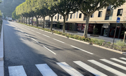 Clap de fin des travaux de requalification du cours Brillier à Vienne