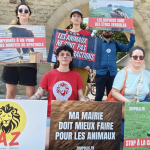 L’association PAZ dénonce l’utilisation de rapaces pour le spectacle au théâtre antique ce week-end : Jocelyne Gard, la présidente de Vienne Historique répond