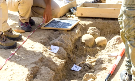 Découverte : les archéologues mettent au jour une trentaine de squelettes en Vallée de Gère à Vienne