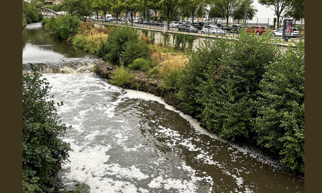 Pollution ou pas ?  Le Gier recouvert d’une épaisse couche de mousse blanche