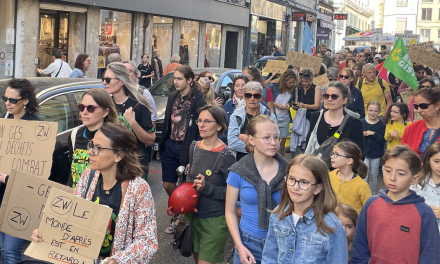 250 participants à la « Manif pour le Climat » à Vienne pour dénoncer « le manque d’anticipation et d’ambition face au changement climatique »…