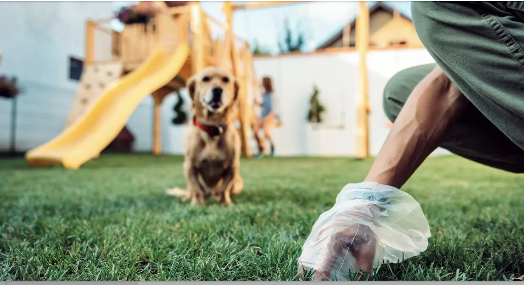 Propriétaires de chiens, vous risquez désormais 150 euros d’amende à Vienne si vous n’avez pas de sac de déjection canine avec vous en promenant toutou
