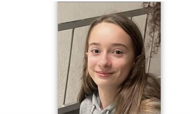 Disparition inquiétante de Pauline, 15 ans, élève à Saint-Charles à Vienne : de nouveaux éléments, mais elle n’est toujours pas retrouvée