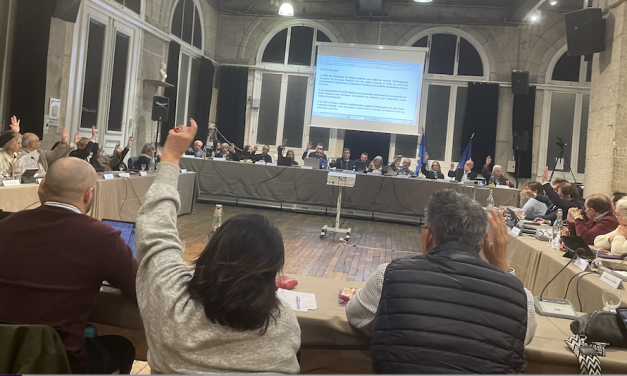 Les violences  urbaines s’invitent dans un conseil municipal de Vienne très politique