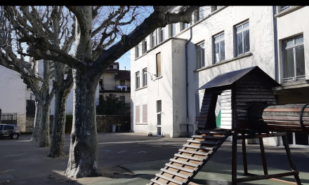 Pour dénoncer (notamment) les menaces d’expulsion  d’une mère d’élèves et de ses trois enfants : grève des enseignants et rassemblement mardi matin à l’école Nicolas Chorier à Vienne